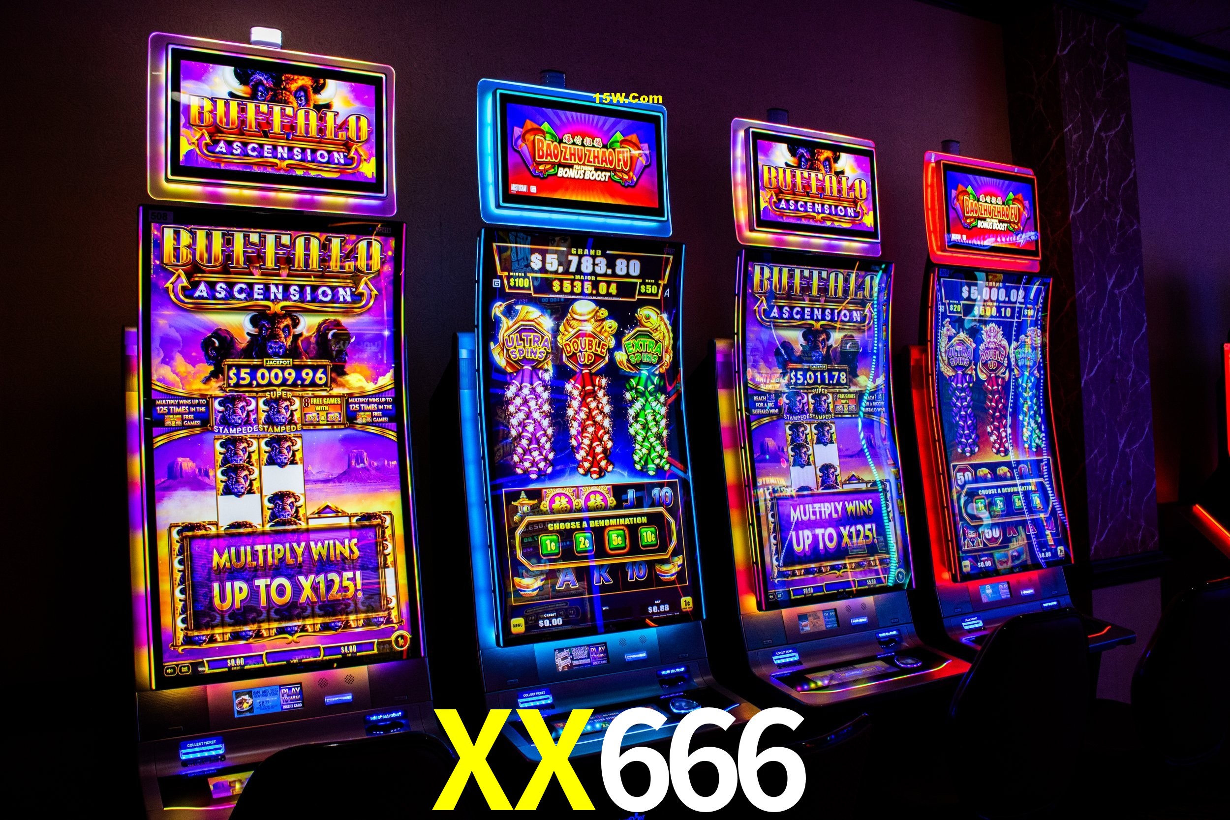 Player Reviews XX666
